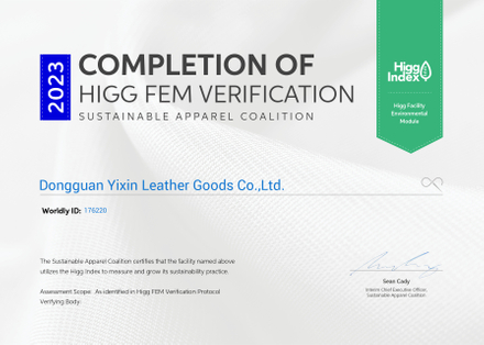 HIGG FEM VERIFICATION CERTIFICATE_page-0001